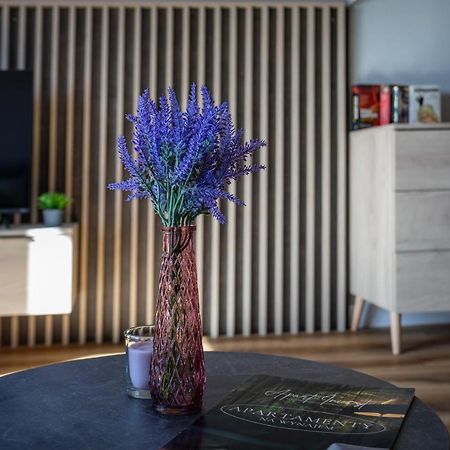 Green Park Resort A25 -Z Dostepem Do Basenu, Sauny, Jacuzzi, Silowni Szklarska Poręba Εξωτερικό φωτογραφία